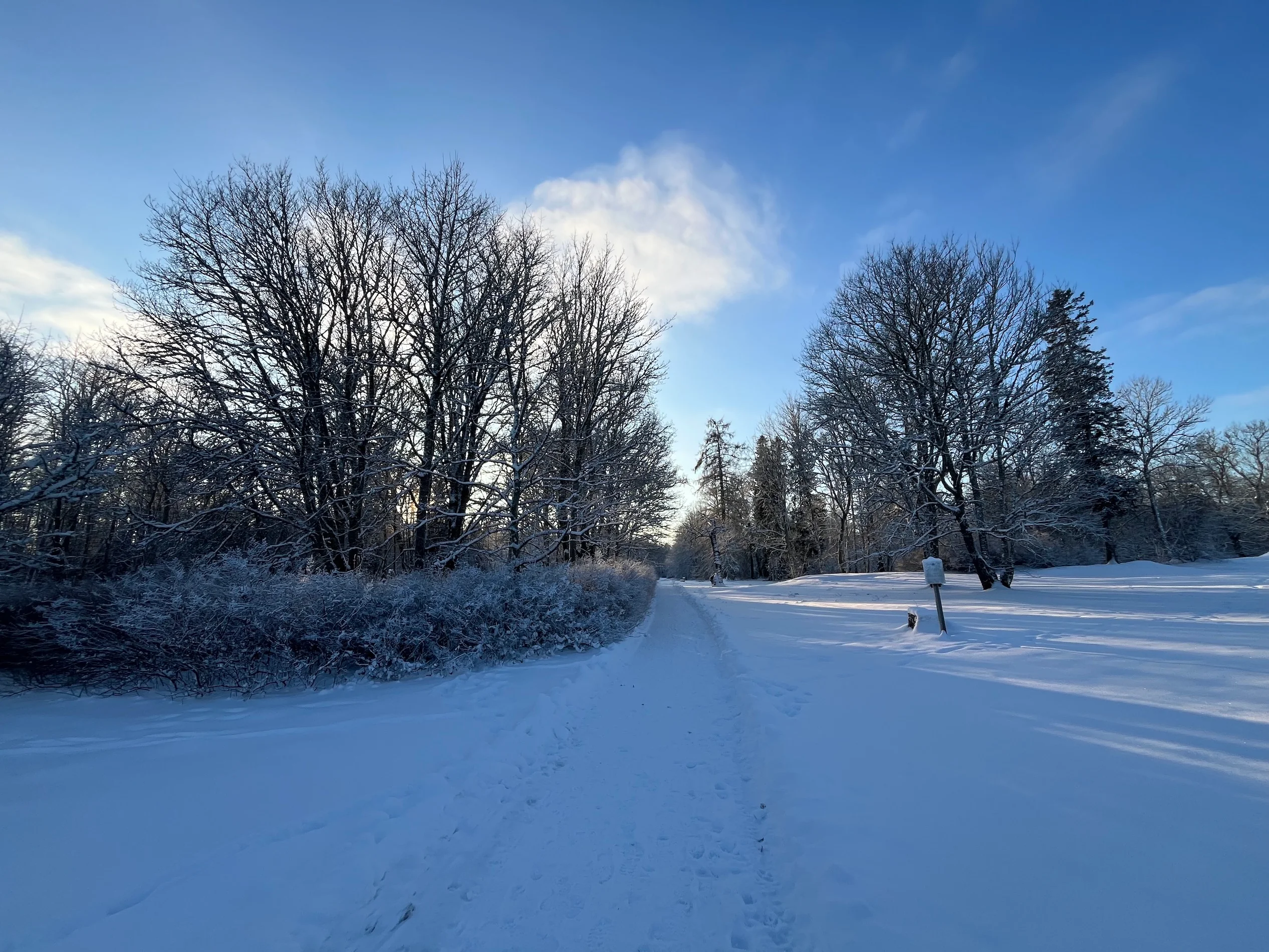 Ehituse käik - vaade 1